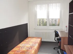 Pronájem pokoje, Brno, Běloruská, 10 m2