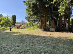 Prodej zahrady, Tachov, 595 m2