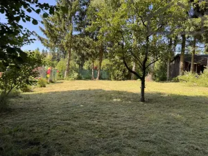 Prodej zahrady, Tachov, 595 m2