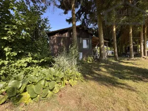 Prodej zahrady, Tachov, 595 m2