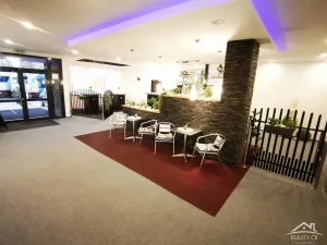 Pronájem ubytování, Jihlava - Pávov, 385 m2