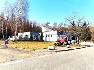 Pronájem ubytování, Jihlava - Pávov, 385 m2