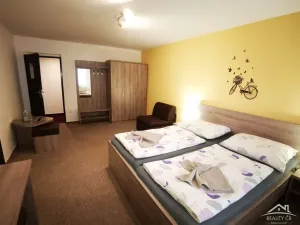 Pronájem ubytování, Jihlava - Pávov, 385 m2