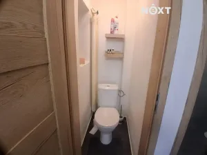 Pronájem bytu 1+kk, Ledenice, 5. května, 48 m2