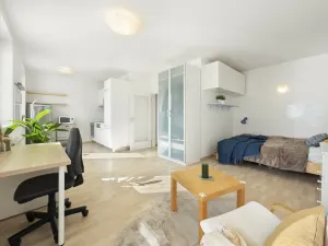 Pronájem bytu 1+kk, Praha - Strašnice, Janýrova, 37 m2