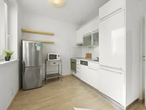 Pronájem bytu 1+kk, Praha - Strašnice, Janýrova, 37 m2