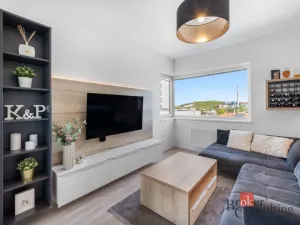 Prodej bytu 3+kk, Brno - Slatina, Řípská, 105 m2