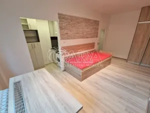 Pronájem bytu 1+kk, Ostrava - Poruba, Žilinská, 21 m2