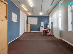 Prodej vícegeneračního domu, Sokolov, U Divadla, 360 m2