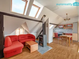 Prodej vícegeneračního domu, Sokolov, U Divadla, 360 m2