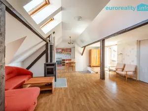 Prodej vícegeneračního domu, Sokolov, U Divadla, 360 m2