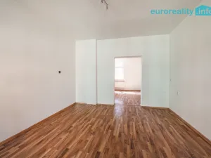 Prodej vícegeneračního domu, Sokolov, U Divadla, 360 m2