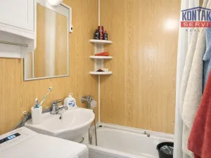 Pronájem bytu 2+kk, České Budějovice - České Budějovice 2, Netolická, 39 m2