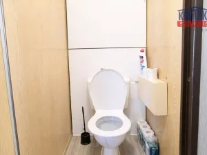 Pronájem bytu 2+kk, České Budějovice - České Budějovice 2, Netolická, 39 m2