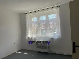 Prodej bytu 1+1, Louny, U Spravedlnosti, 40 m2