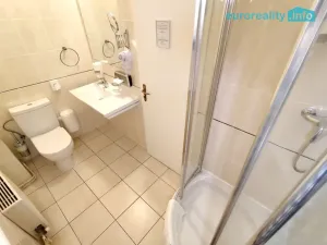 Pronájem bytu 4+kk, Plzeň, Zbrojnická, 110 m2