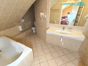 Pronájem bytu 4+kk, Plzeň, Zbrojnická, 110 m2