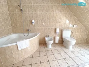 Pronájem bytu 4+kk, Plzeň, Zbrojnická, 110 m2