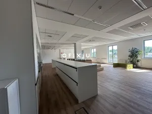 Pronájem kanceláře, Brno, Veveří, 200 m2