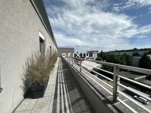 Pronájem kanceláře, Brno, Veveří, 200 m2