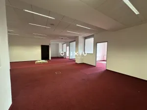 Pronájem kanceláře, Brno, Veveří, 200 m2