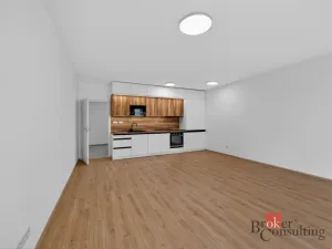Pronájem bytu 2+kk, Plzeň - Jižní Předměstí, Železná, 63 m2