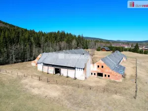 Prodej komerčního pozemku, Borová Lada, 102221 m2