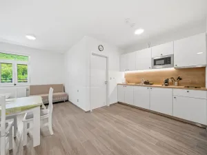 Prodej bytu 1+kk, Hardegg Stadt,Hardegg,Rakousko, 41 m2