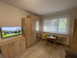 Pronájem bytu 1+kk, Brno - Černá Pole, náměstí SNP, 27 m2