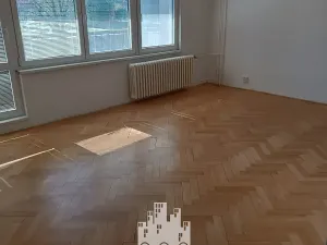 Pronájem bytu 1+kk, Havířov, 17. listopadu, 33 m2