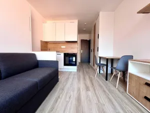Pronájem bytu 1+kk, Praha - Smíchov, Plzeňská, 25 m2
