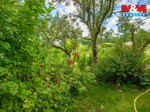 Prodej chaty, Písek, U Martínka, 16 m2