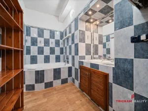 Pronájem bytu 2+kk, Hradec Králové, Mánesova, 50 m2