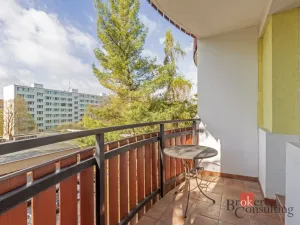 Prodej bytu 2+1, Brno - Lesná, Šrámkova, 53 m2