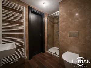 Pronájem bytu 1+kk, Olomouc, Třída Jiřího Pelikána, 33 m2