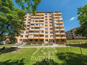 Pronájem bytu 1+1, Napajedla, Nábřeží, 34 m2