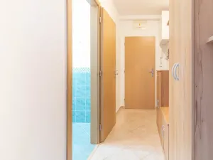 Pronájem bytu 2+kk, Olomouc - Nová Ulice, Okružní, 52 m2
