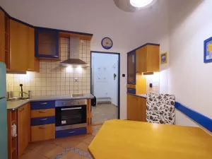 Pronájem bytu 1+1, Praha - Vinohrady, Polská, 45 m2