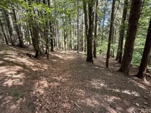 Prodej chaty, Krásná, 50 m2