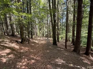 Prodej chaty, Krásná, 50 m2