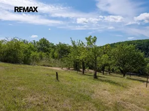 Prodej zahrady, Moravské Bránice, 2403 m2