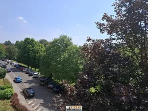 Prodej bytu 3+1, Kadaň, Husova, 64 m2