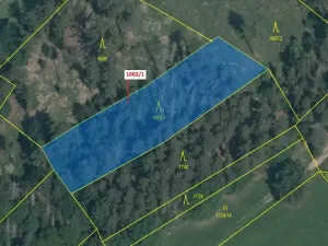 Dražba lesa, Trhový Štěpánov, 2201 m2