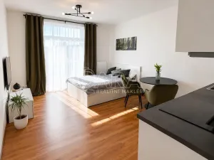 Pronájem bytu 1+kk, Praha - Holešovice, V závětří, 34 m2