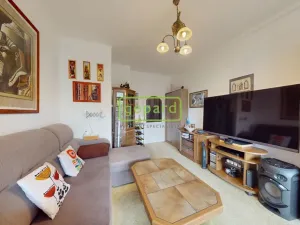 Prodej bytu 2+1, Neratovice, Dr. E. Beneše, 58 m2