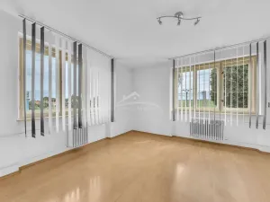 Prodej rodinného domu, Nové Syrovice, 190 m2