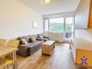 Prodej bytu 2+kk, Všemina, 45 m2