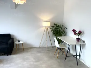 Pronájem bytu 2+kk, Hradec Králové - Pražské Předměstí, Chelčického, 64 m2