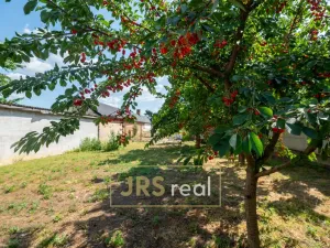 Prodej rodinného domu, Moravská Nová Ves, 120 m2