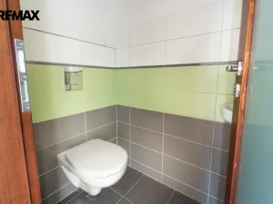 Prodej rodinného domu, Sedlec-Prčice - Kvasejovice, 220 m2